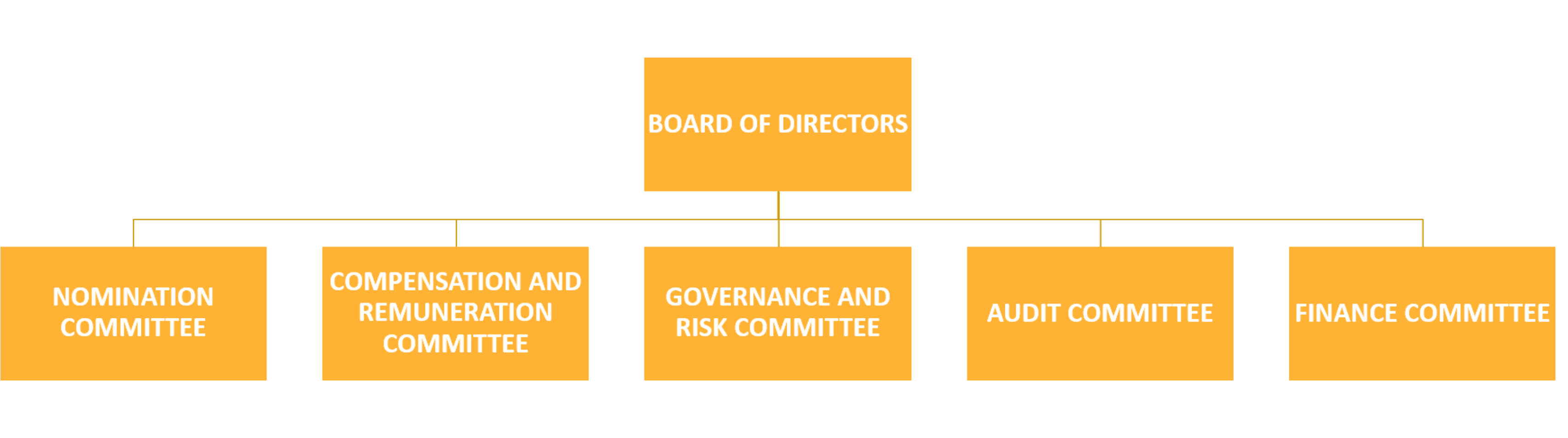 Board Committees